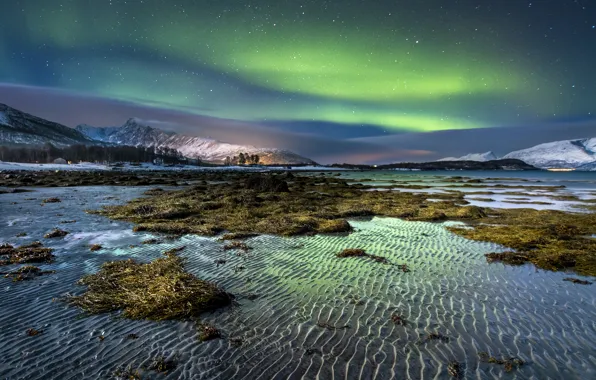 Picture winter, sand, the sky, water, stars, snow, algae, mountains