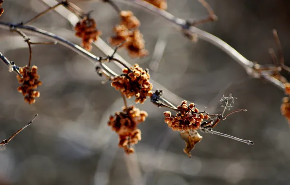 Sadness, autumn, the wind, longing