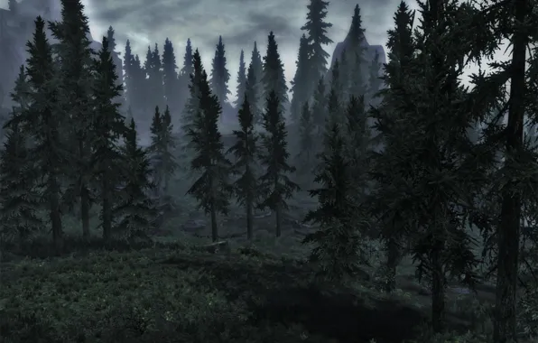 Forest, mountains, ate, skyrim