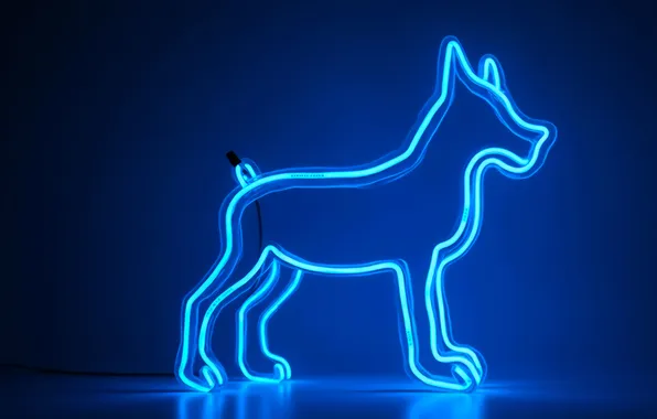 Dog, neon, silhouette, dog, neon, blue glow