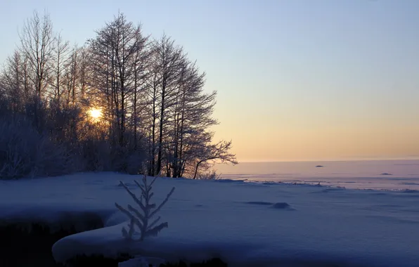 Picture winter, snow, landscape, sunset, real photo