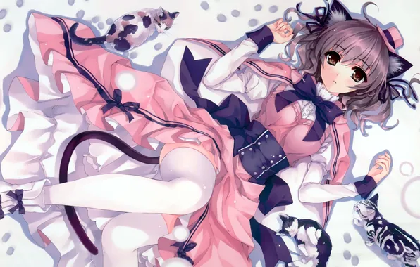 Girl, cats, stockings, hat, anime, art, ears, misaki kurehito