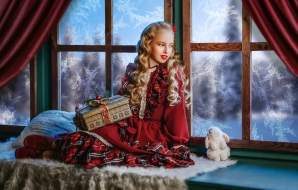 Gift, toy, rabbit, dress, window, frost, girl, pillow