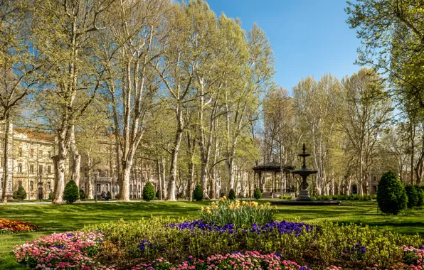 Picture trees, flowers, bench, design, Park, lawn, fountain, alley