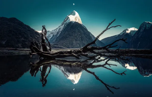 Picture landscape, mountains, lake, reflection, snag
