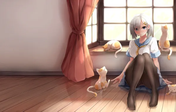 Picture girl, cats, room, art, sitting, nicoby