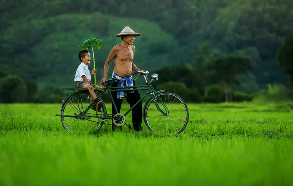 Field, landscape, child