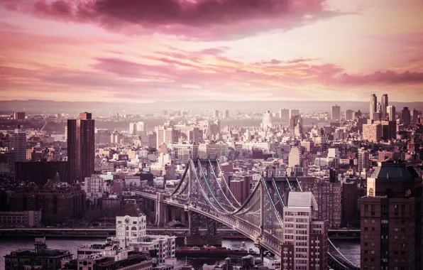 Bridge, the city, building