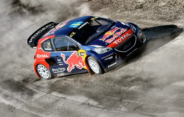 Dust, Peugeot, Skid, Peugeot, 208, WorldRX, Timmy Hansen