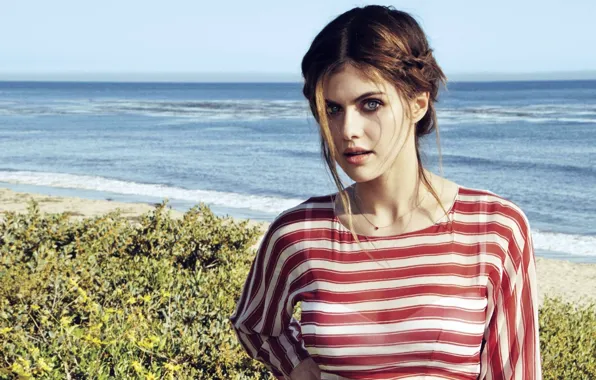 Look, girl, face, actress, Alexandra Daddario, Alexandra Daddario