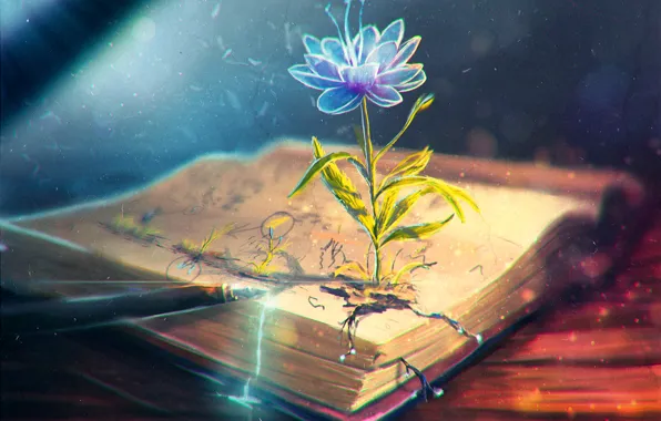 Picture flower, pen, art, handle, book, ink
