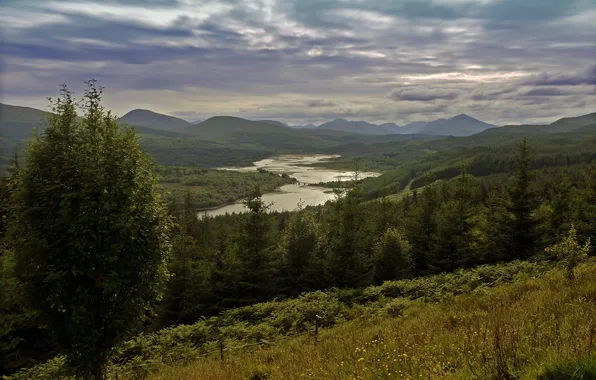 Forest, mountains, clouds, river, tree, Scotland