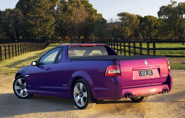 Picture trees, rear view, pickup, Holden, Vauxxhall, Ute SS V, Vauxhall, road.fence