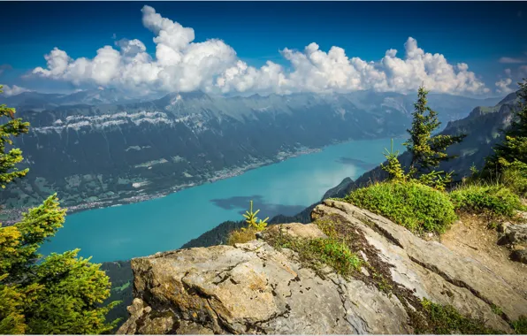 Switzerland, Lake Brienz, the Canton of Bern