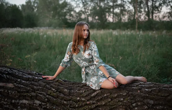 Picture summer, girl, trees, nature, pose, photo, hair, dress