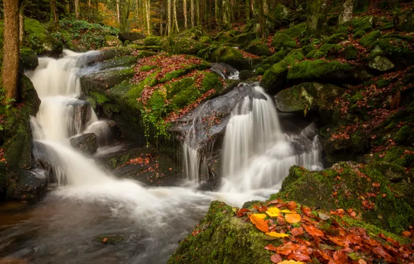 Picture autumn, forest, leaves, stones, France, waterfall, moss, river
