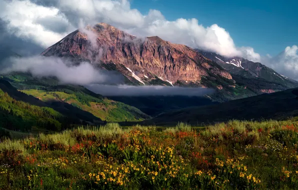 Summer, the sky, clouds, flowers, mountains, fog, hills, tops