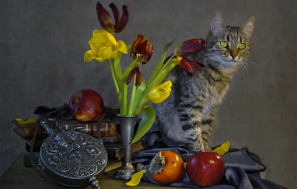 Cat, flowers, animal, apples, tulips, fabric, fruit, still life