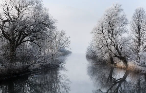Picture winter, fog, river