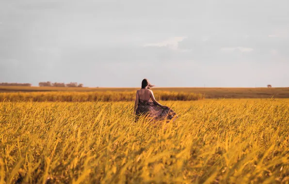 GRASS, HORIZON, FIELD, BROWN hair, DAL, SUNDRESS, EARS