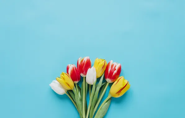Flowers, Tulips, Bouquet