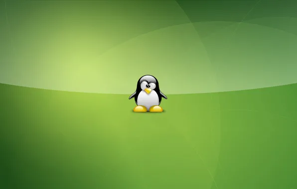 Download wallpaper green, linux, Tux, section hi-tech in resolution ...