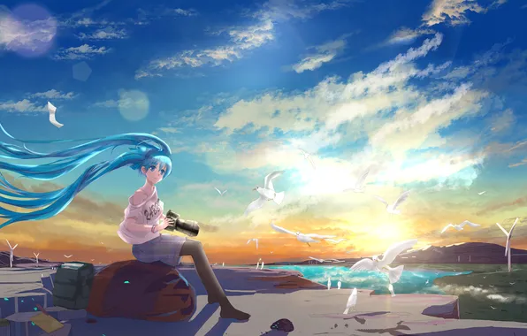 Picture the sky, girl, clouds, birds, nature, art, the camera, vocaloid