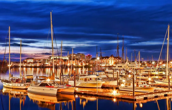 Picture sea, the sky, landscape, night, nature, the city, lights, boats