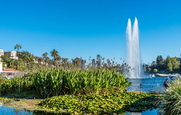 The sky, the sun, trees, lake, Park, palm trees, home, CA