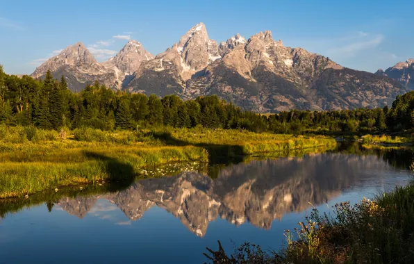 Greens, forest, the sky, grass, water, the sun, trees, mountains