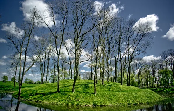 Picture trees, river, stream, hills, island