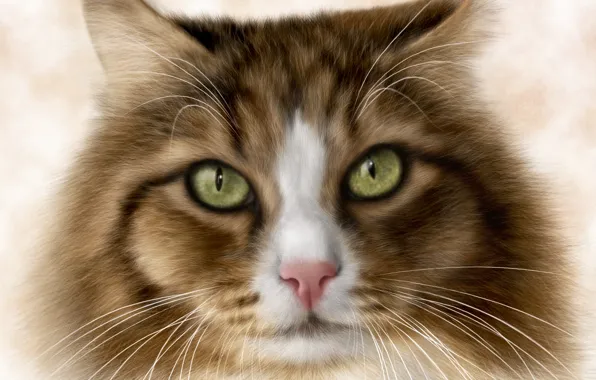 Picture cat, eyes, cat, rendering, background, Koshak