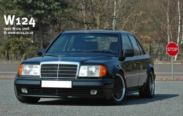 Picture mercedes-benz, w124, dorest, 500E