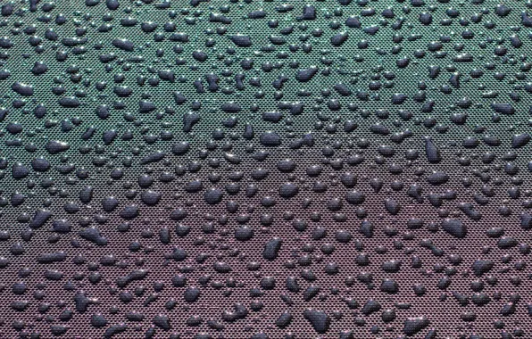 Picture water, drops, surface