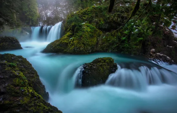 Forest, river, waterfall, moss, Columbia River Gorge, Washington State, Little White Salmon River, Spirit If
