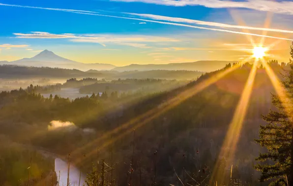Forest, the sky, the sun, clouds, rays, trees, mountains, fog