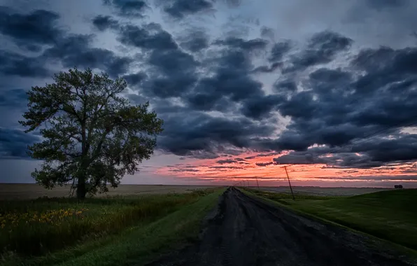 Picture road, field, night