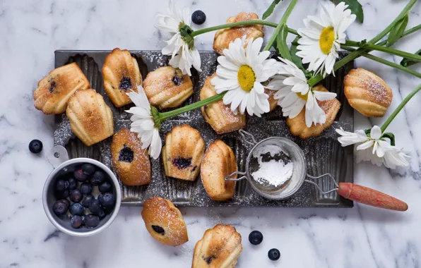 Berries, chamomile, cookies, blueberries, dessert, cakes, powdered sugar, Anna Verdina