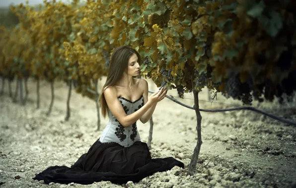 Picture girl, nature, grapes