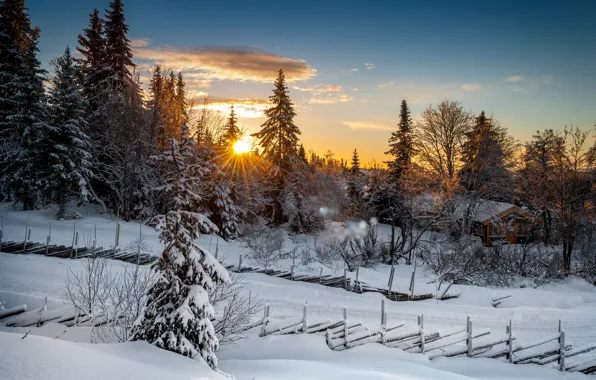 Winter, forest, sunset, Norway, Norway, Lillehammer, Lillehammer