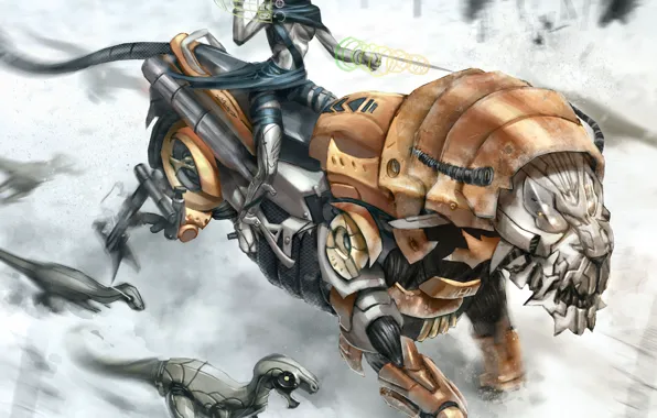 Picture robot, Leo, rider