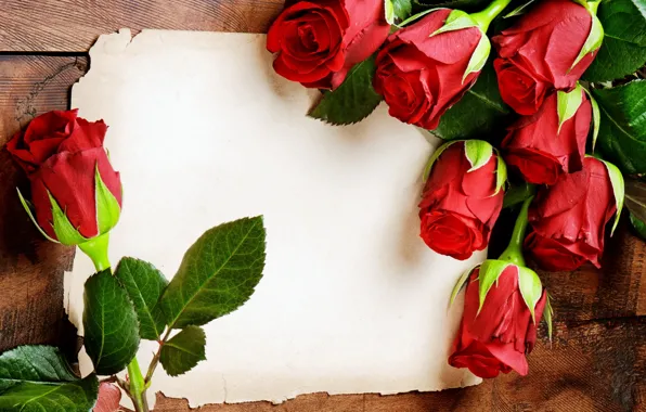 Red, roses, red, flowers, romantic, roses, with love