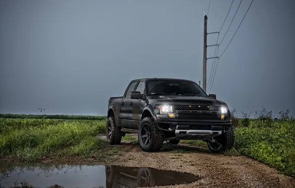 Picture the sky, grass, black, tuning, puddle, ford, Ford, raptor