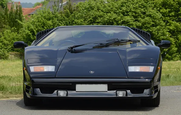 Trees, lamborghini, front view, the bushes, Lamborghini, countach