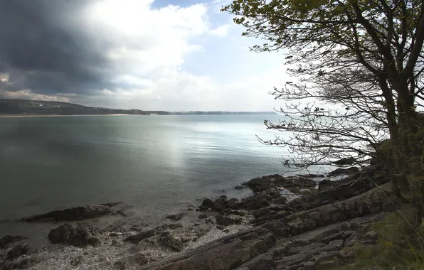 Clouds, lake, tree