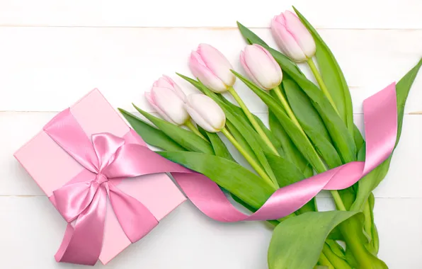 Wallpaper white, background, holiday, gift, Wallpaper, tape, tulips