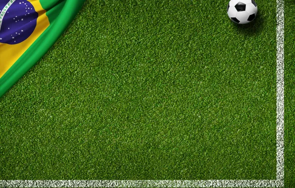 Grass, lawn, green, the ball, football, flag, football field, World Cup
