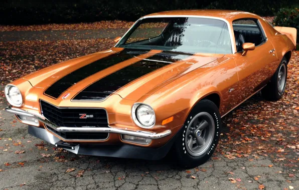 Leaves, orange, background, coupe, Chevrolet, Camaro, Chevrolet, 1971
