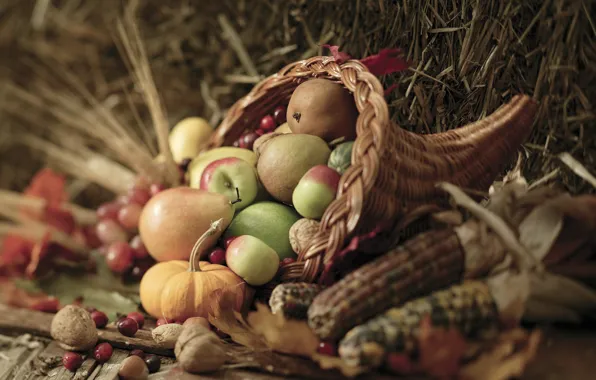 Picture autumn, leaves, berries, basket, apples, corn, harvest, pumpkin