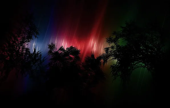 Trees, background, dark colors, blur